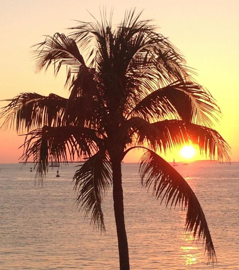Family, Couples Retreat Near Airport, Cruise Port & Beaches Fort Lauderdale Exteriör bild